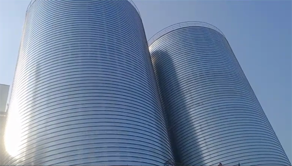 黄埔2座混凝土高架卷板仓